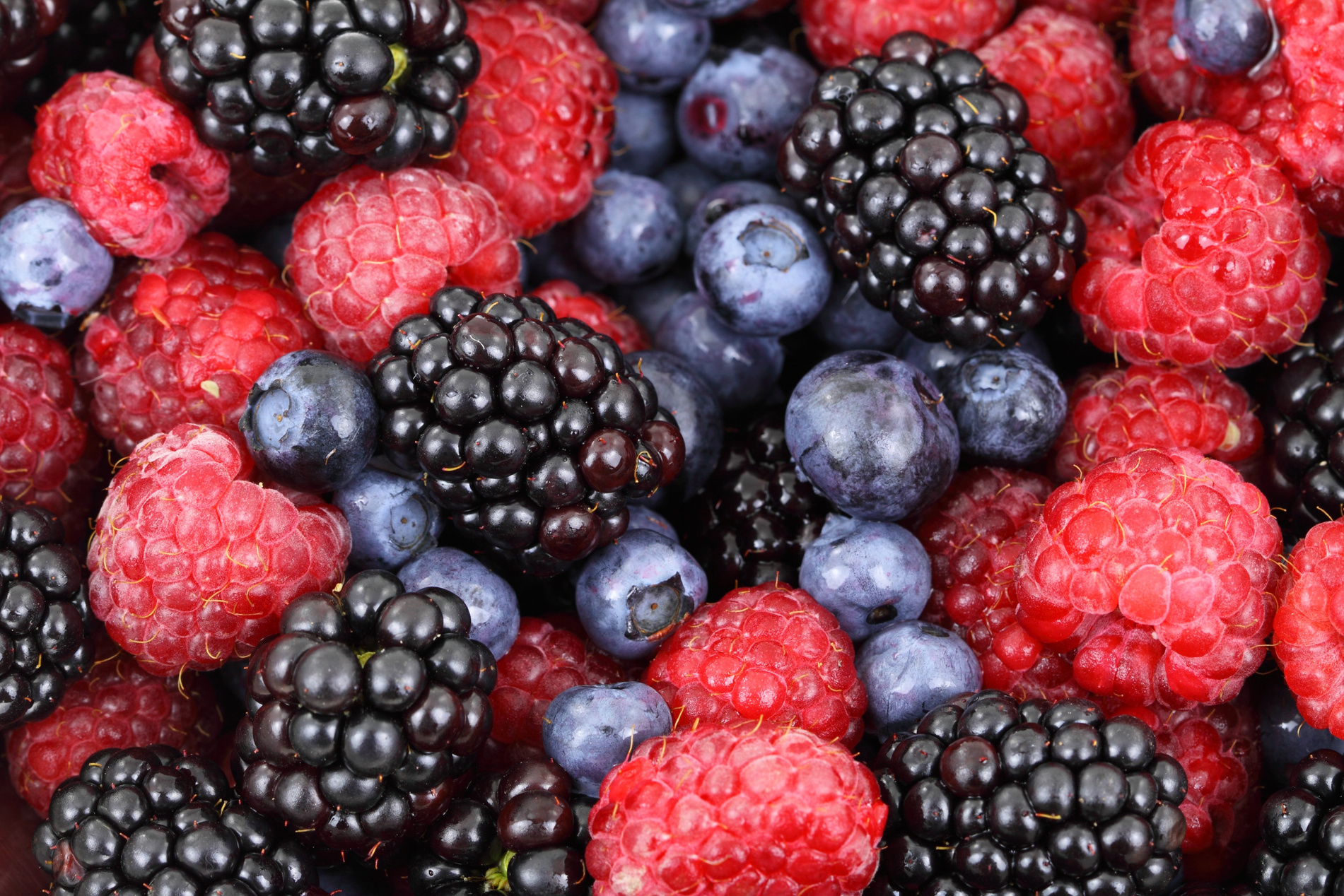 Variety of Berries